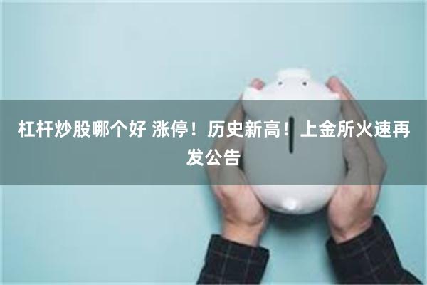 杠杆炒股哪个好 涨停！历史新高！上金所火速再发公告