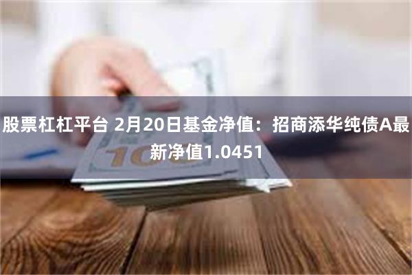 股票杠杠平台 2月20日基金净值：招商添华纯债A最新净值1.0451