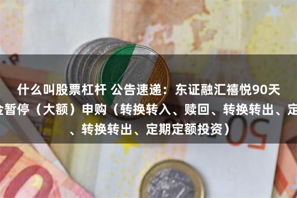 什么叫股票杠杆 公告速递：东证融汇禧悦90天滚动基金基金暂停（大额）申购（转换转入、赎回、转换转出、定期定额投资）