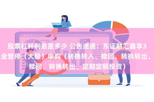 股票杠杆利息是多少 公告速递：东证融汇鑫享30天滚动基金基金暂停（大额）申购（转换转入、赎回、转换转出、定期定额投资）
