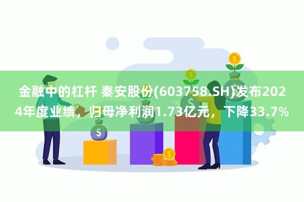 金融中的杠杆 秦安股份(603758.SH)发布2024年度业绩，归母净利润1.73亿元，下降33.7%