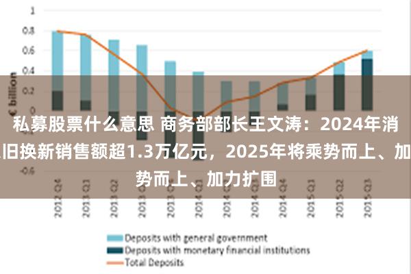 私募股票什么意思 商务部部长王文涛：2024年消费品以旧换新销售额超1.3万亿元，2025年将乘势而上、加力扩围