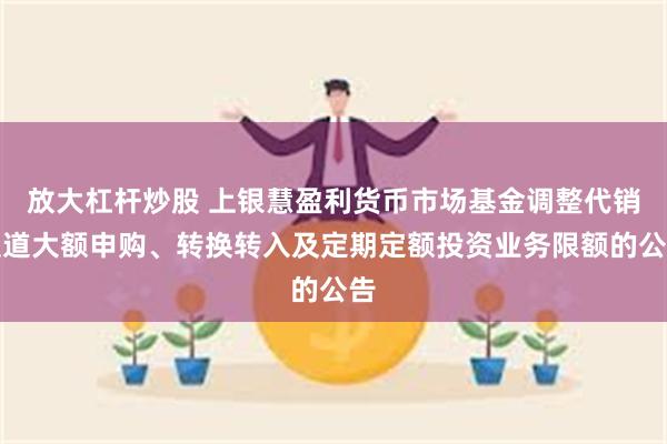 放大杠杆炒股 上银慧盈利货币市场基金调整代销渠道大额申购、转换转入及定期定额投资业务限额的公告