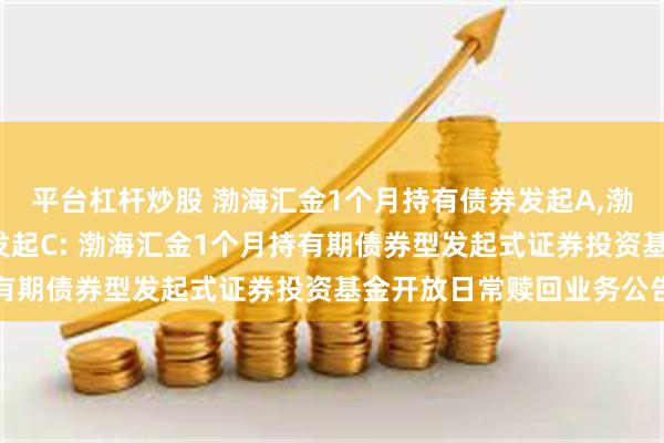 平台杠杆炒股 渤海汇金1个月持有债券发起A,渤海汇金1个月持有债券发起C: 渤海汇金1个月持有期债券型发起式证券投资基金开放日常赎回业务公告