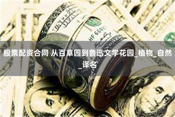 股票配资合同 从百草园到鲁迅文学花园_植物_自然_译名