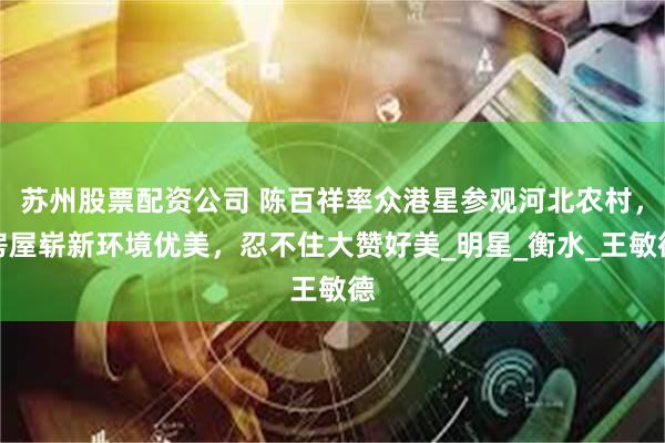 苏州股票配资公司 陈百祥率众港星参观河北农村，房屋崭新环境优美，忍不住大赞好美_明星_衡水_王敏德