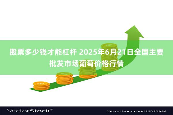 股票多少钱才能杠杆 2025年6月21日全国主要批发市场葡萄价格行情