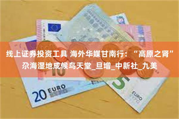 线上证券投资工具 海外华媒甘南行：“高原之肾”尕海湿地成候鸟天堂_旦增_中新社_九美
