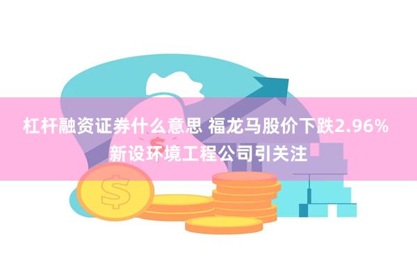 杠杆融资证券什么意思 福龙马股价下跌2.96% 新设环境工程公司引关注