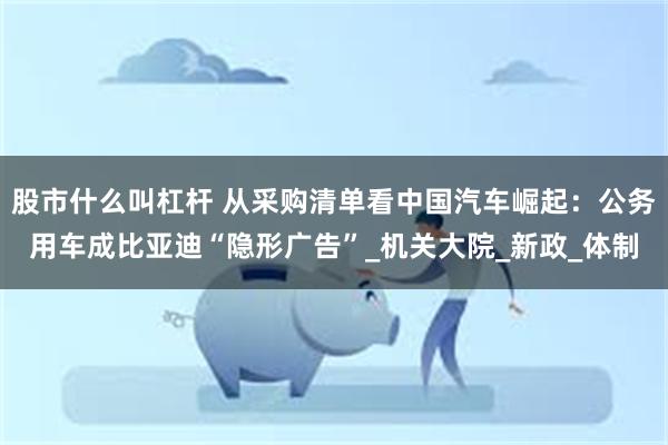 股市什么叫杠杆 从采购清单看中国汽车崛起：公务用车成比亚迪“隐形广告”_机关大院_新政_体制