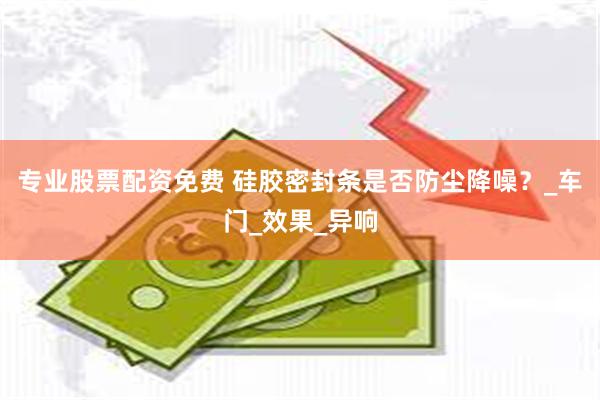 专业股票配资免费 硅胶密封条是否防尘降噪？_车门_效果_异响
