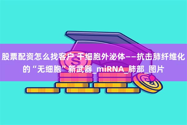 股票配资怎么找客户 干细胞外泌体——抗击肺纤维化的“无细胞”新武器_miRNA_肺部_图片